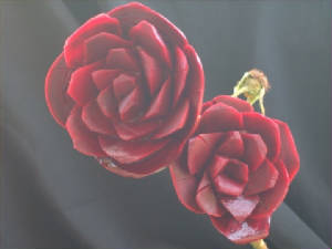 Carved Beet Roses